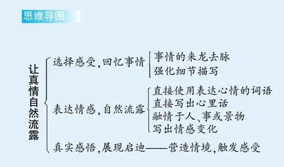 让真情自然流露