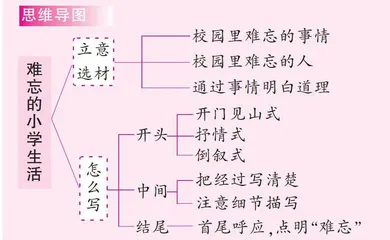 难忘的小学生活