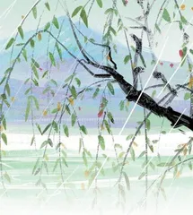  那雨，那情