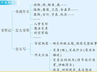 一次变形,一场记趣 