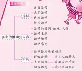 多彩的活动