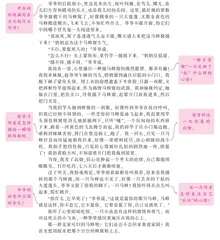捅马蜂窝
