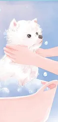 我家的小狗