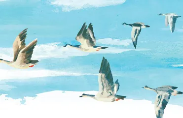 一字文