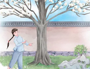 玉兰花开