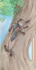 另眼看蚂蚁
