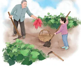 红薯是从天上掉下来的吗？  