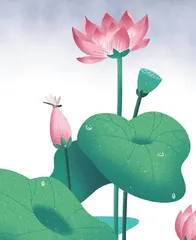 一船白月光