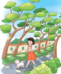 盛夏狂想曲