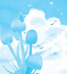 笨侠张小敬