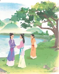 天芯草 