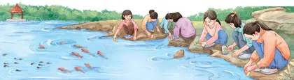 闪亮的日子