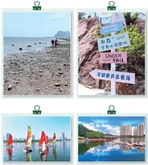 天鹅旅行记