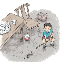 决战银环蛇