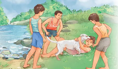 男孩与流浪狗