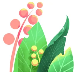 闪烁的露珠（外一首）