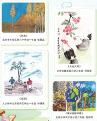 我眼中的景与物