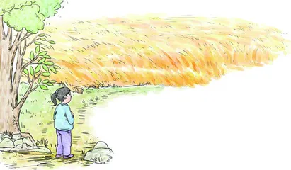 麦香阵阵迎您归