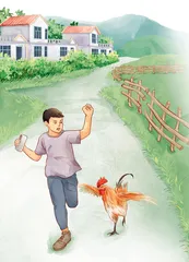 鸡将军