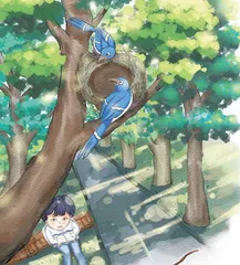 与自然神遇
