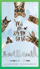 拥抱春天，拥抱自然
