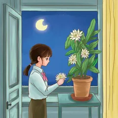 这里，是我的舞台 