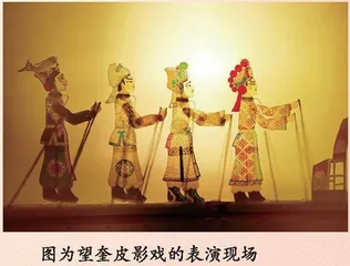 望奎皮影戏