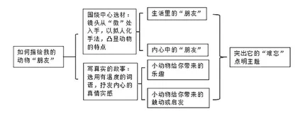 亲近动物，丰富生命体验 