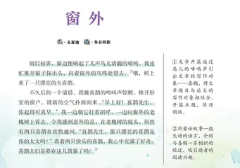 窗外 