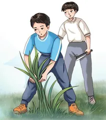 难忘这种滋味