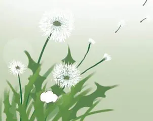 有你在我身后
