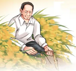 人就像一粒种子