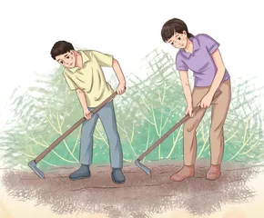 播种汗水，收获希望