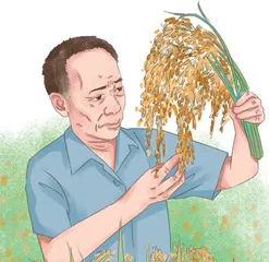 我心中的明星