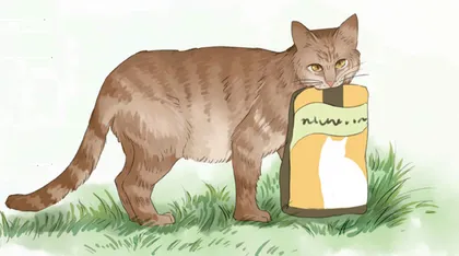 友善，向一只猫学习 