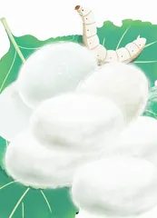 养蚕记
