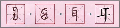 耳