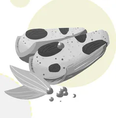 我对家乡的N种“表达”