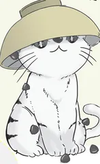 黑白猫咪和小红鱼交朋友