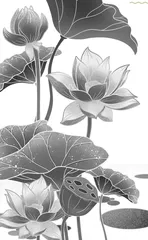 荷花盛宴