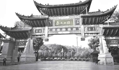 这儿真美 