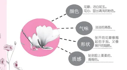      一花一叶总关情