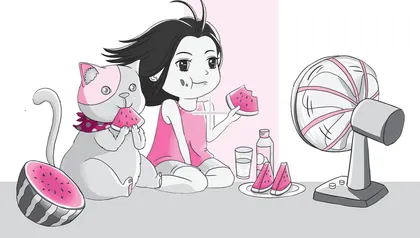 美丽的夏天