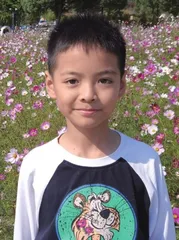 江南的四季