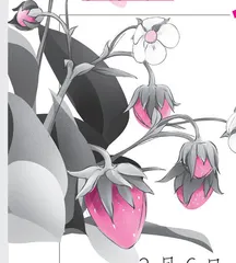 摘草莓