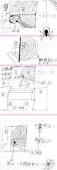 我的蜘蛛朋友