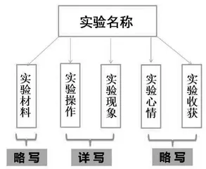 “五个思路六个有”，实验作文准得优