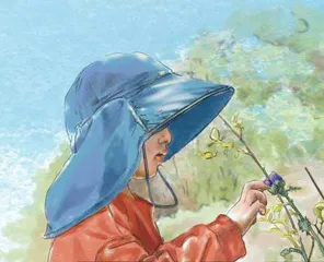 触摸自然