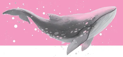 海洋生命探索