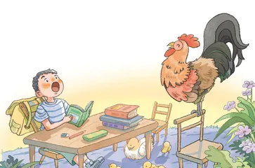 公鸡的礼物